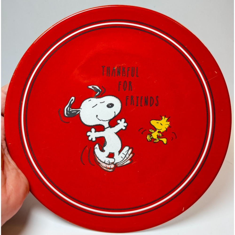 Peanuts Snoopy Pottery Barn Thanksgiving Holiday 5 Piece Plate Set Kids Melamine - Picture 6 of 8